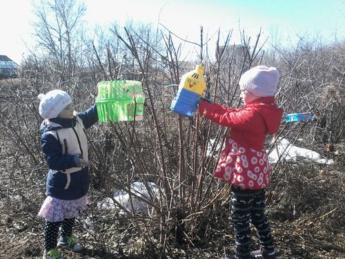 Экологическая акция «Покормите птиц зимой»